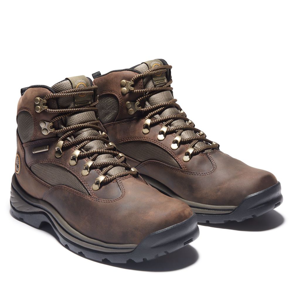 Botas de Montaña Timberland Hombre Chocorua Trail Mid Waterproof Marrones - Chile GXO-023976